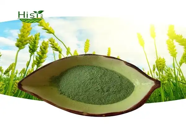 How Is Barley Seedling Powder Processed and Tested?
